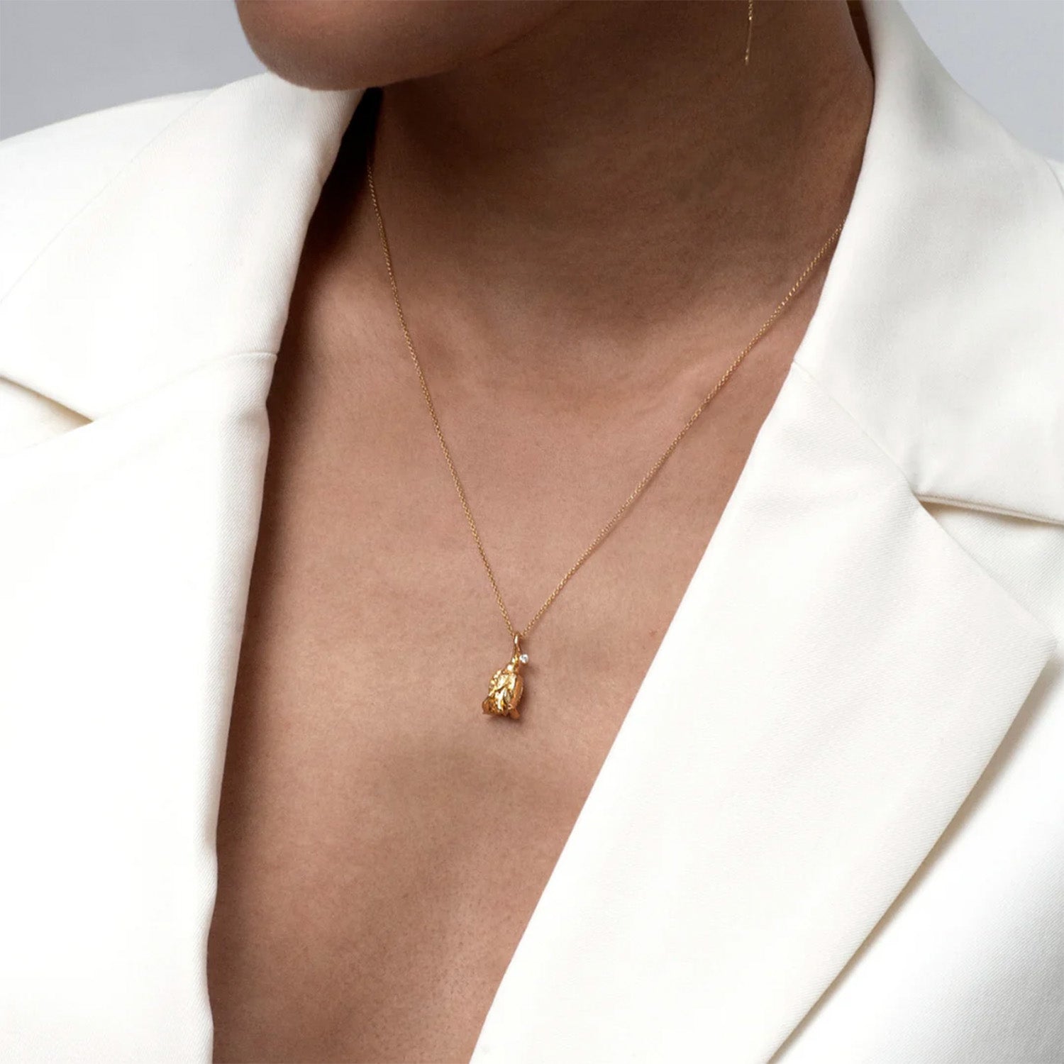 DETAIL238894