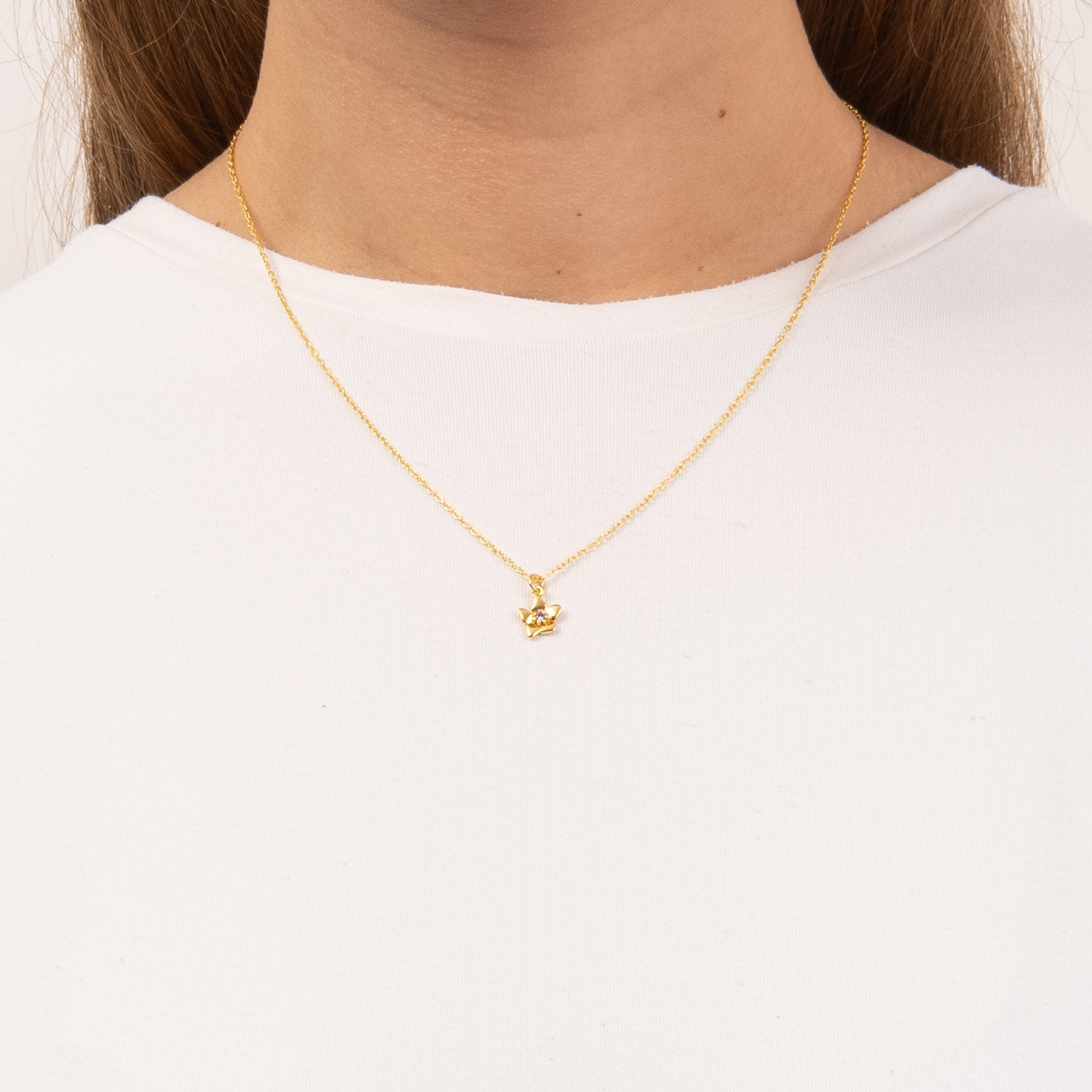 DETAIL255508
