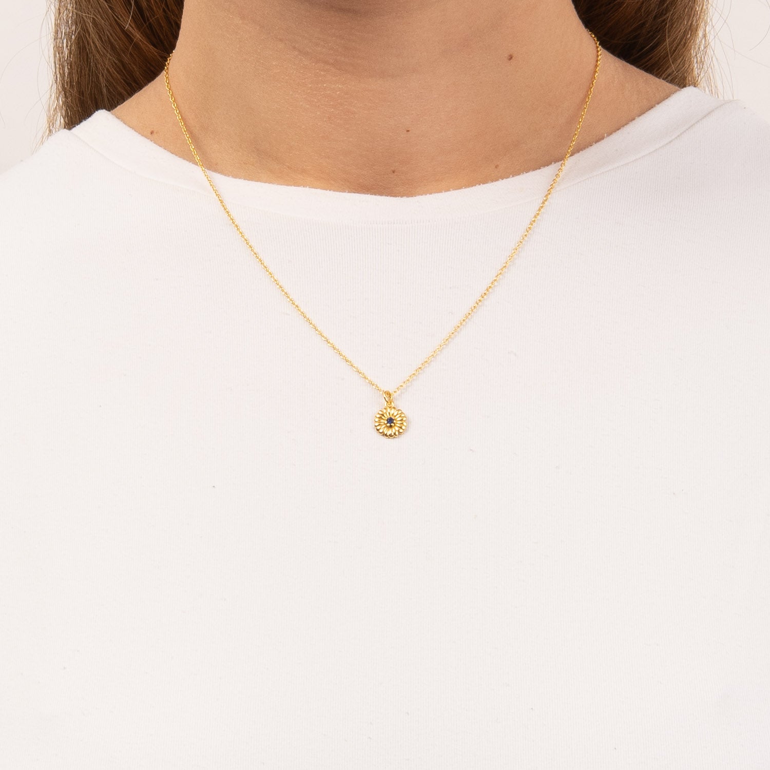 DETAIL255606