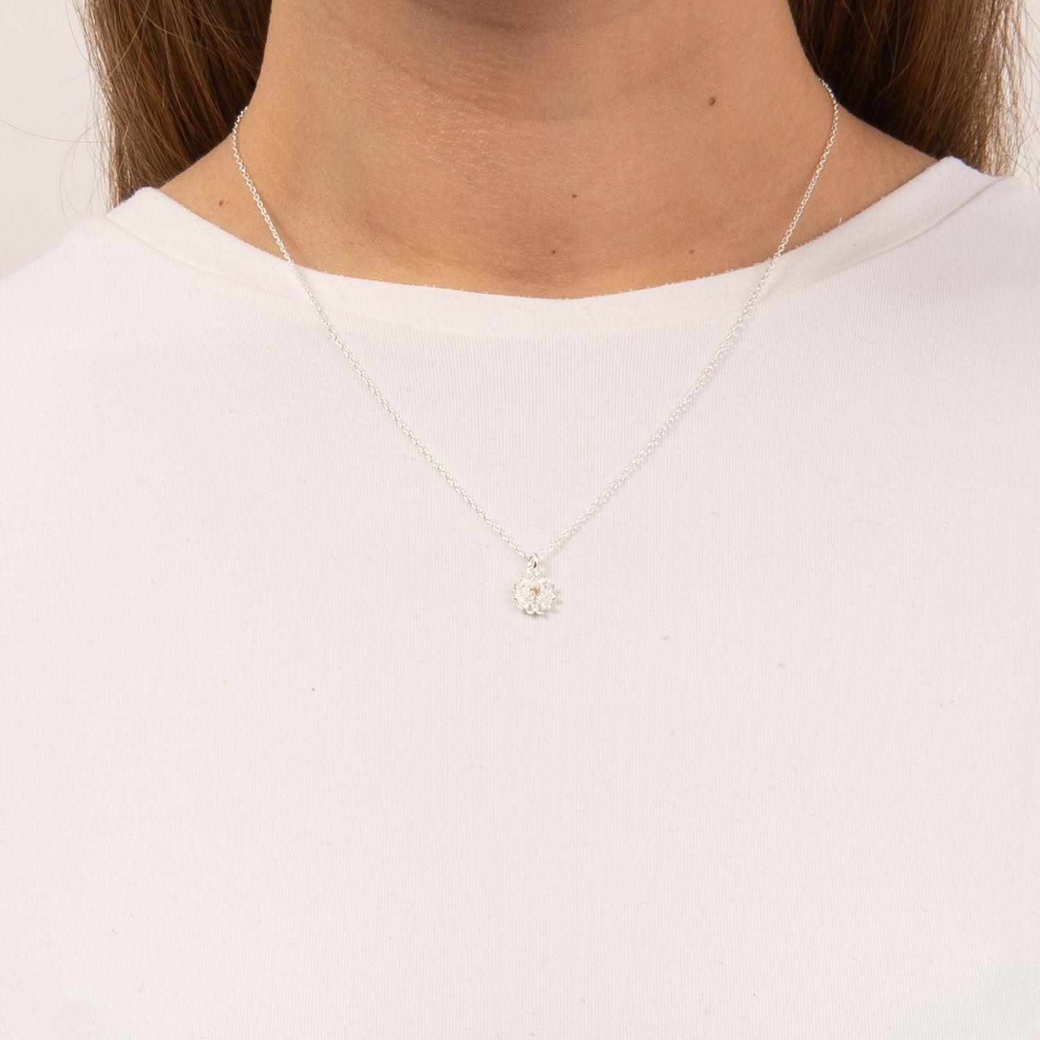DETAIL255690