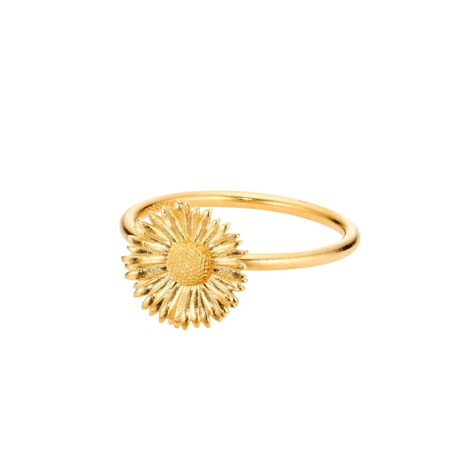 DETAIL255416