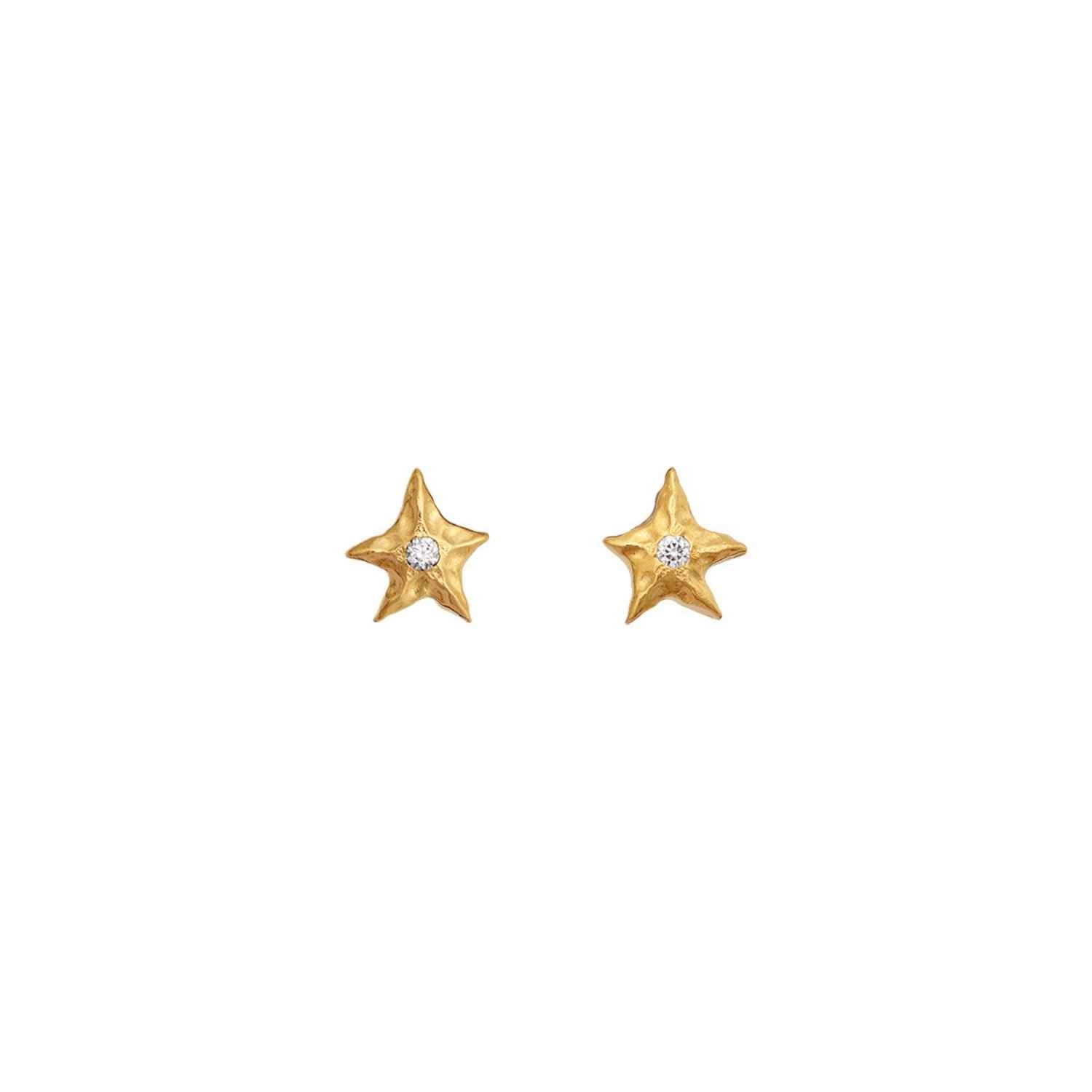 DETAIL256648