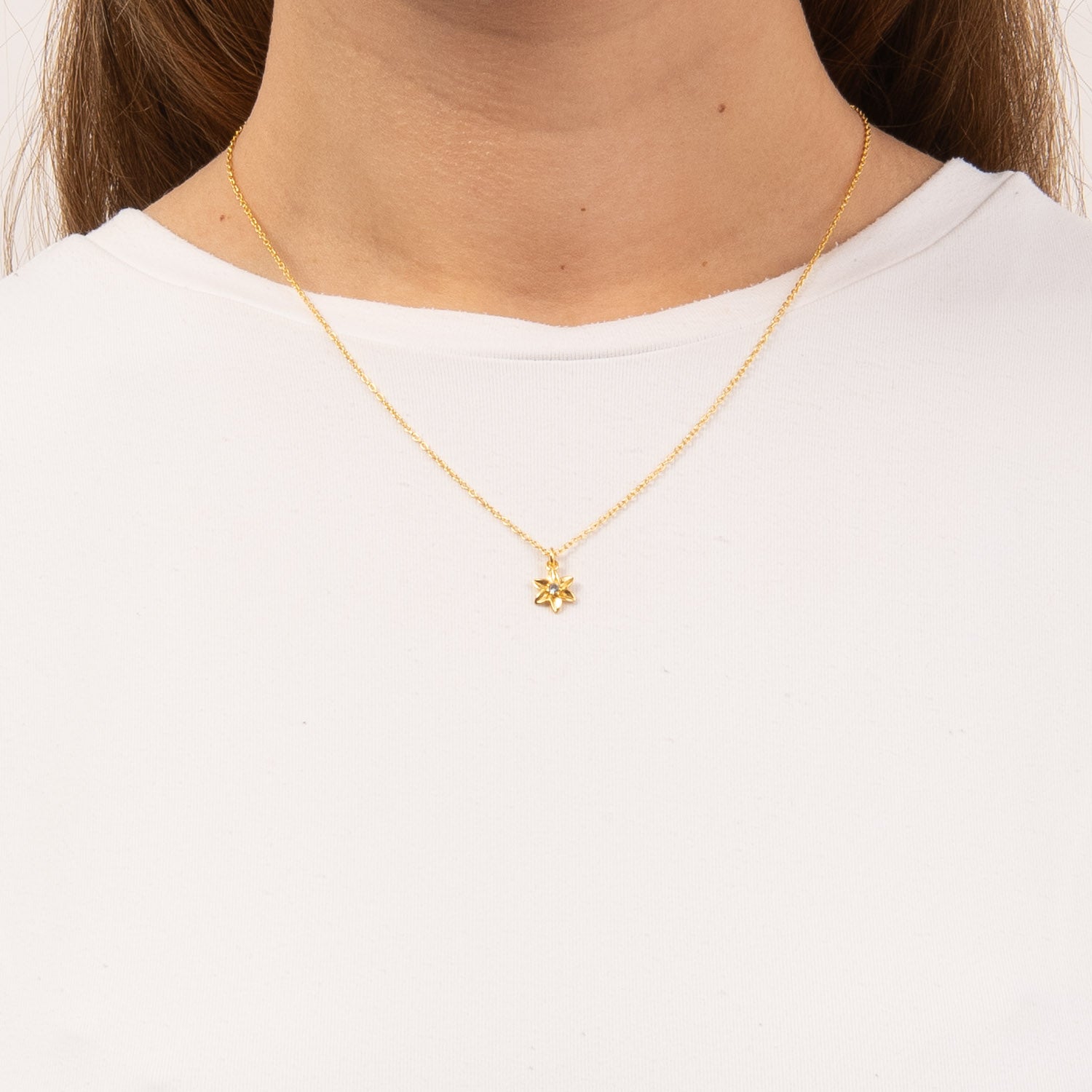 DETAIL255523