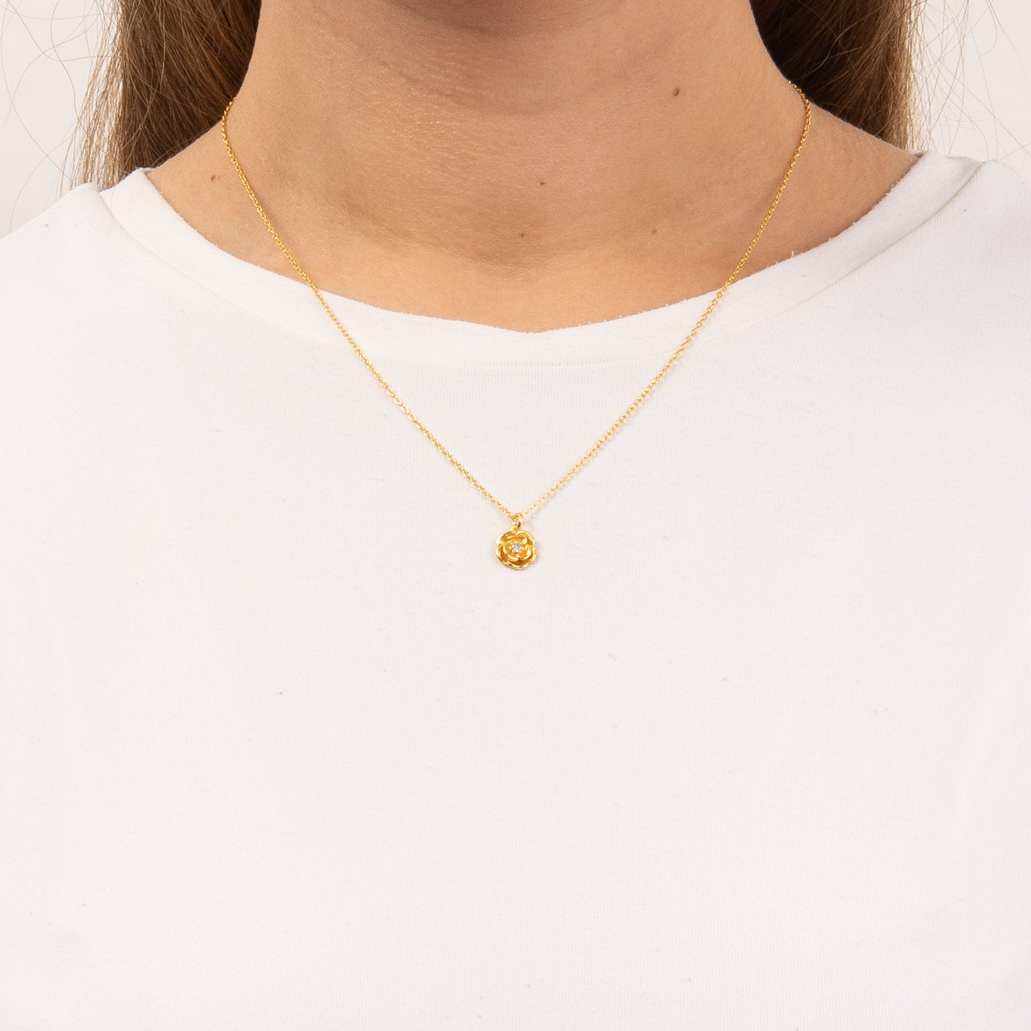 DETAIL255555