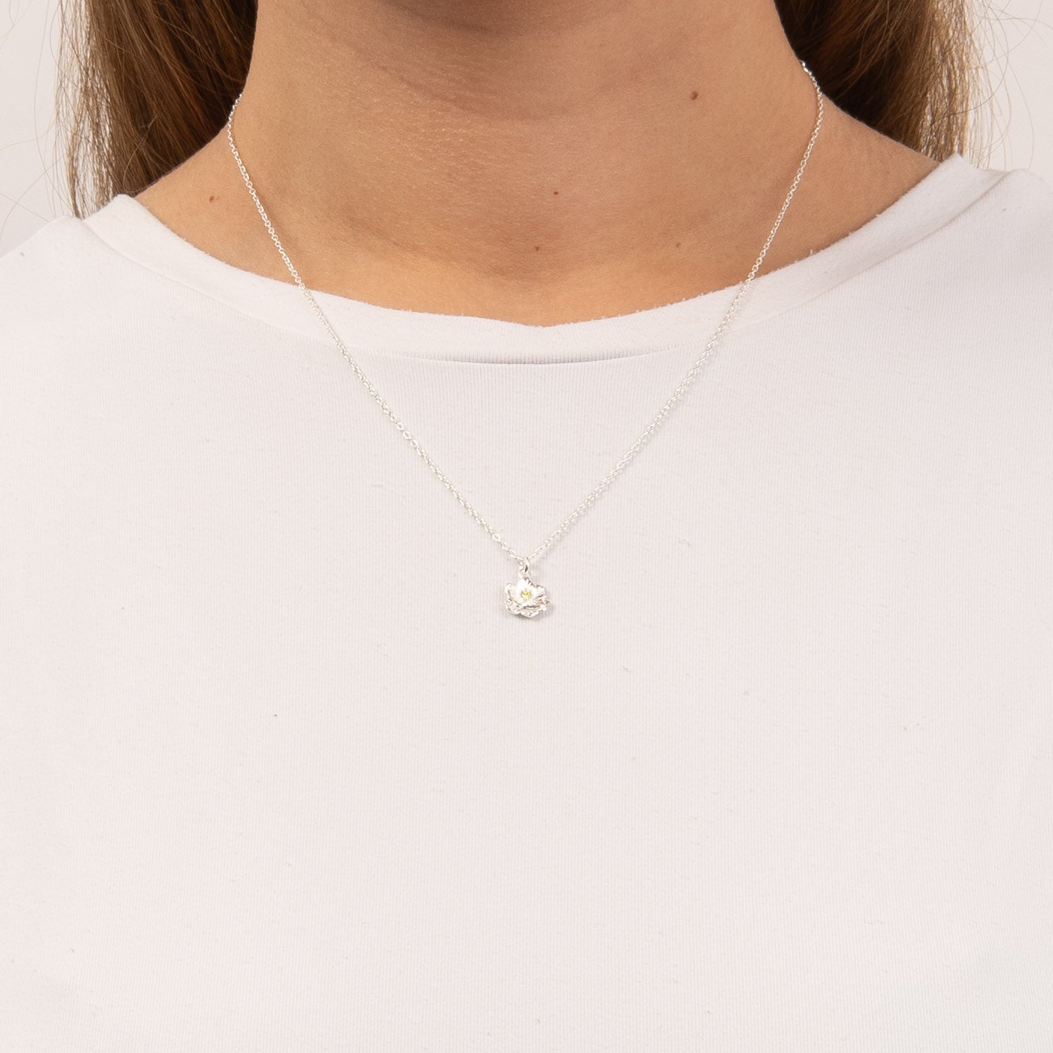 DETAIL255696