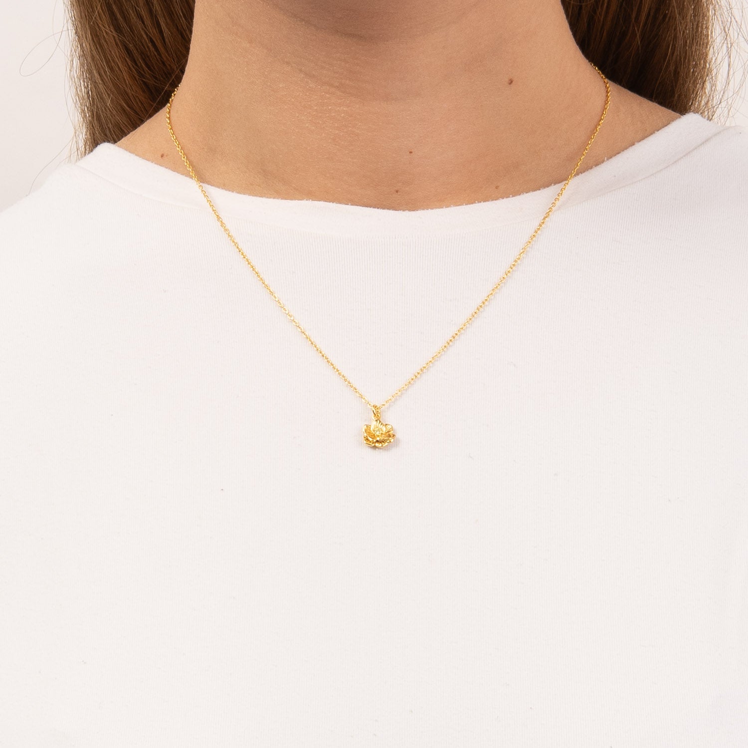 DETAIL255700