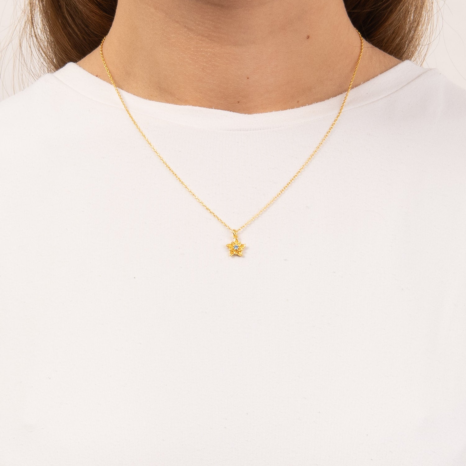 DETAIL255597