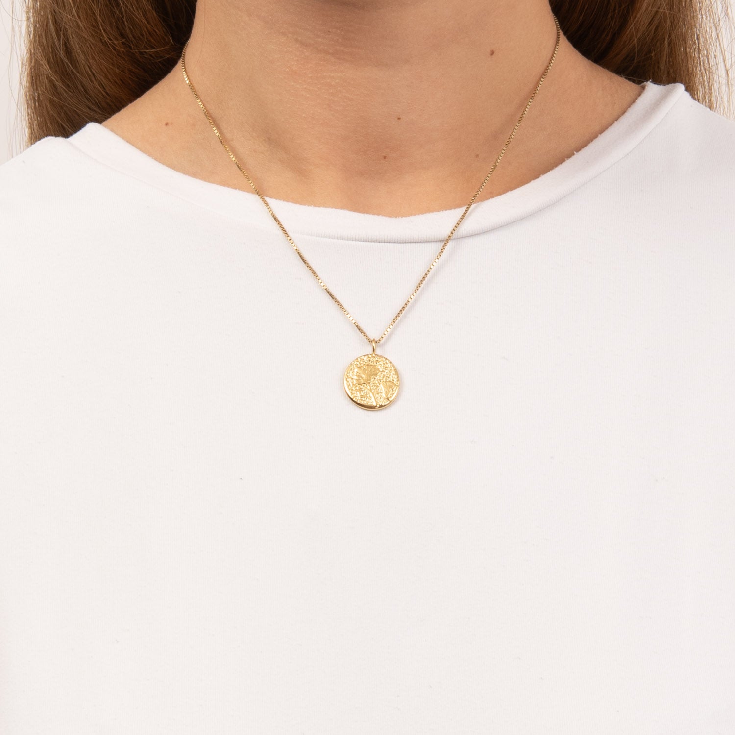 DETAIL253664