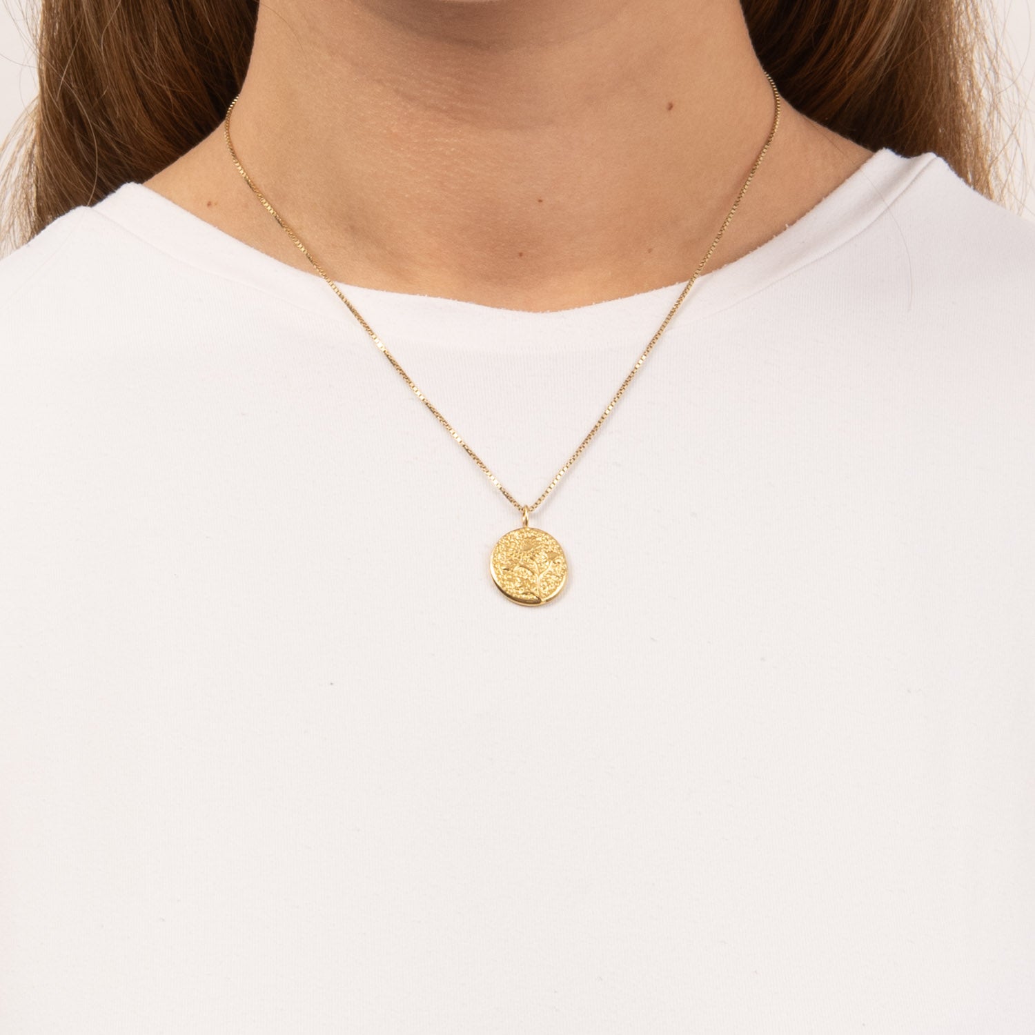 DETAIL253684