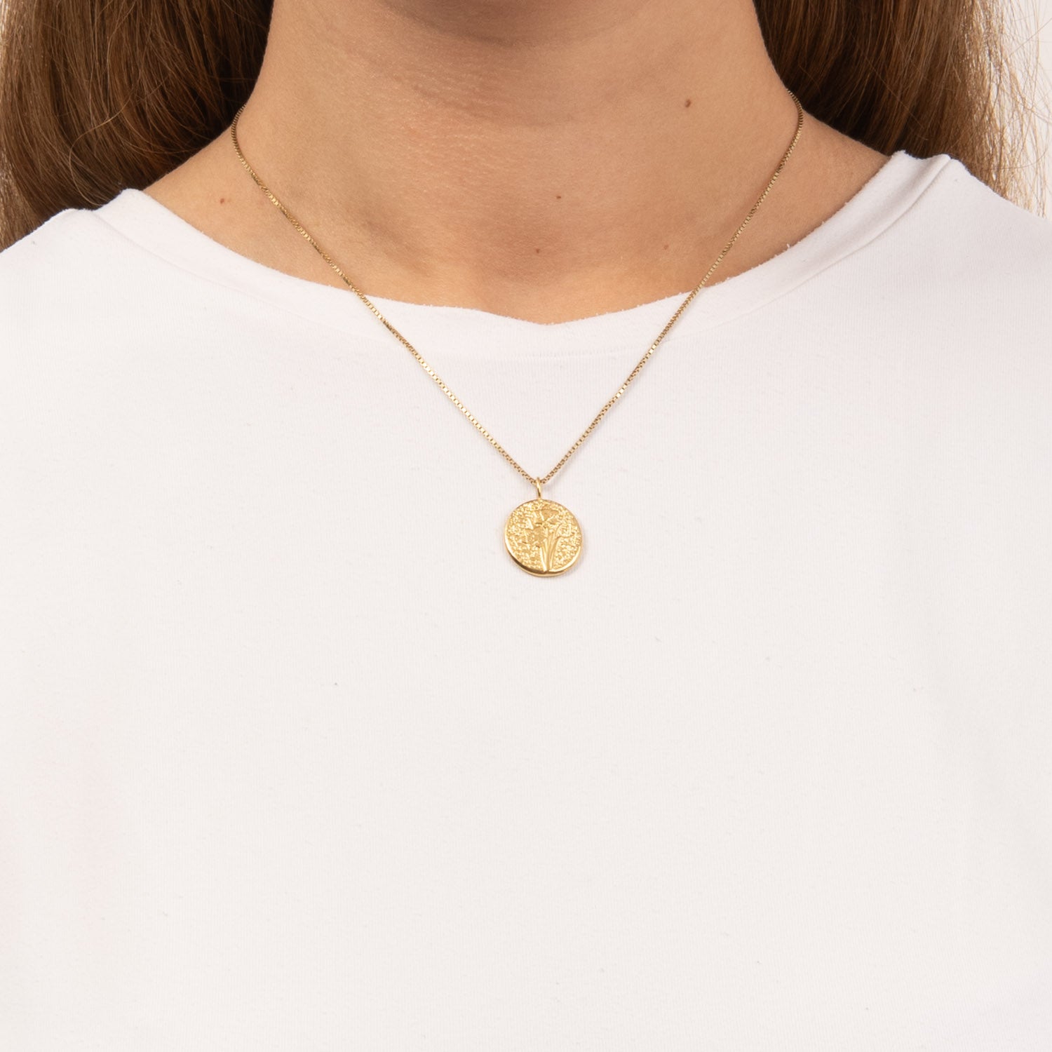 DETAIL253686