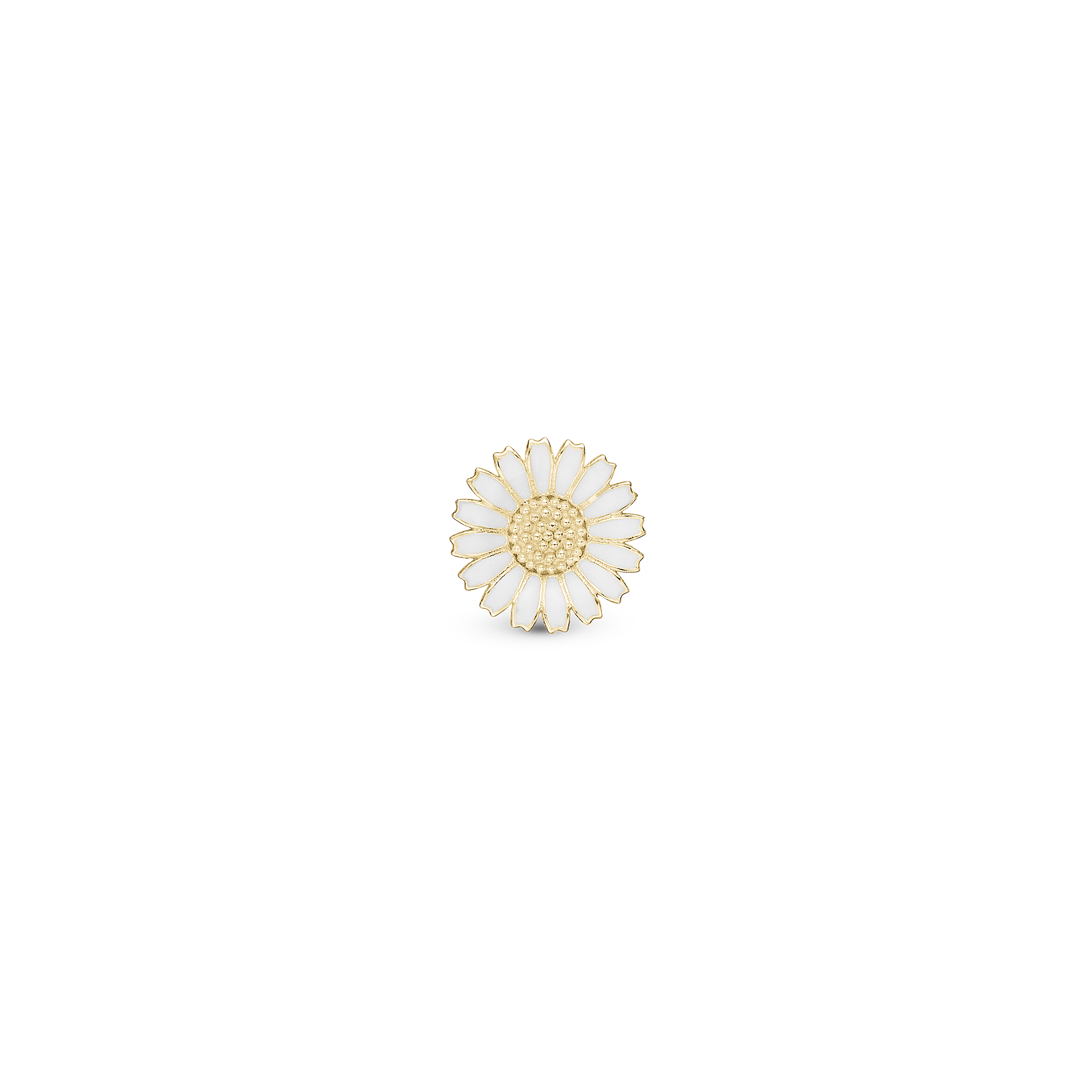 DETAIL206468